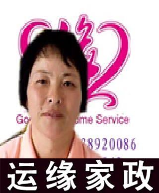 上海教師